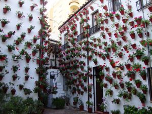 10 patios cordobeses que no te puedes perder - Martín-de-Roa-9-300x225 10 patios cordobeses que no te puedes perder - Martín-de-Roa-9-300x225