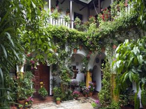 10 patios cordobeses que no te puedes perder - Ocaña-19-300x225 10 patios cordobeses que no te puedes perder - Ocaña-19-300x225
