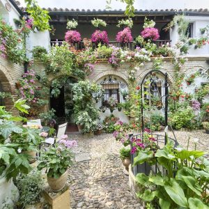 10 patios cordobeses que no te puedes perder - Patio-calle-de-las-parra-6-300x300