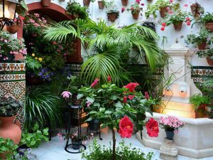 10 patios cordobeses que no te puedes perder - conde-de-arenales-4-300x225 10 patios cordobeses que no te puedes perder - conde-de-arenales-4-300x225