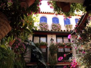 10 patios cordobeses que no te puedes perder - maese_luis_22-300x225 10 patios cordobeses que no te puedes perder - maese_luis_22-300x225