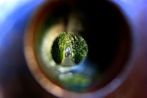Algunos secretos de ROMA