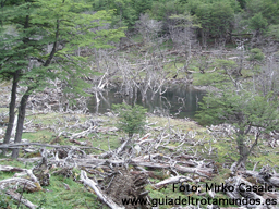 Ushuaia: ¡Más al sur no hay quien viva!