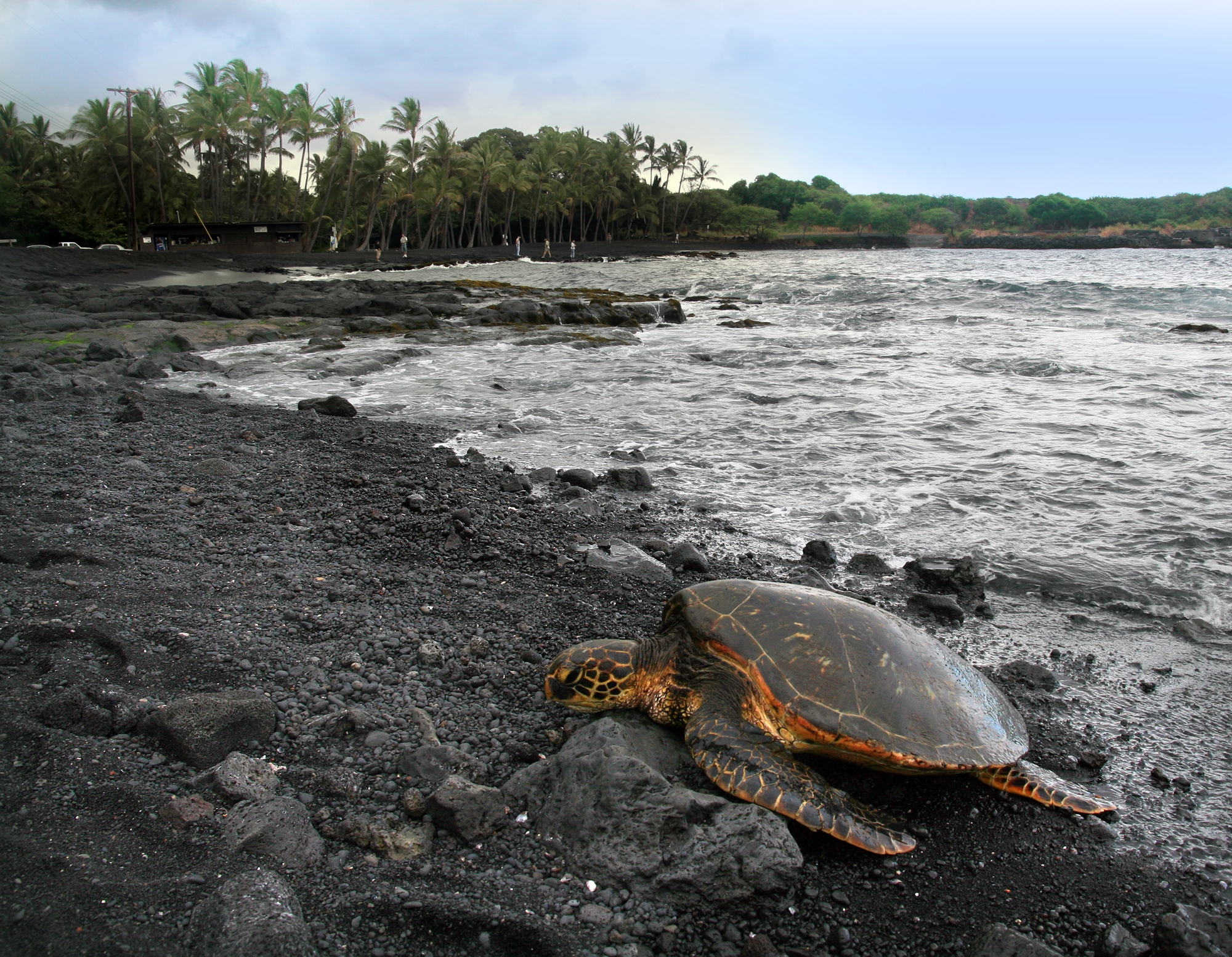 ¿Te apetece un baño de lava? Punalu’u Beach