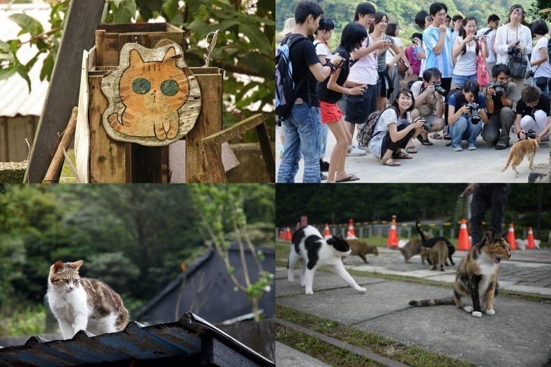 Houtong: el barrio de los gatos en Taiwán