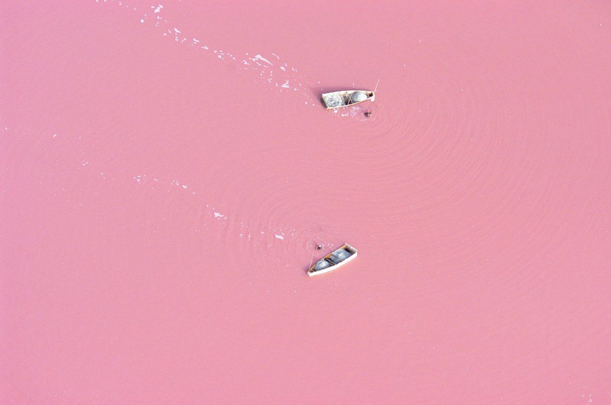 Un paseo color de rosa