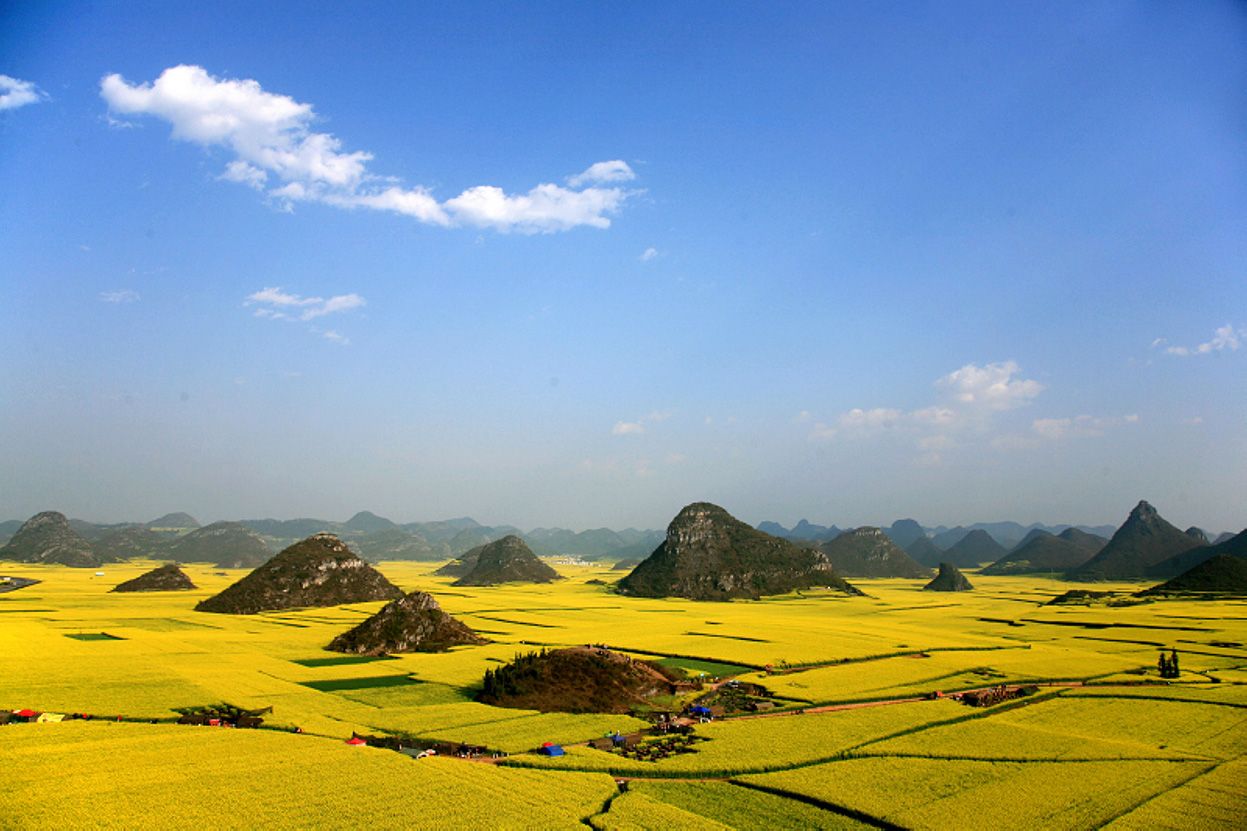 Luoping: donde la primavera se viste de oro
