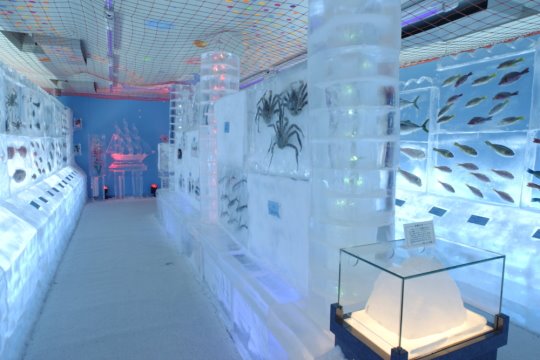 El acuario de hielo de Kori No Suizokukan
