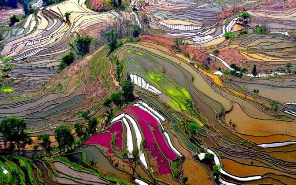 Las terrazas multicolor de Yunnan