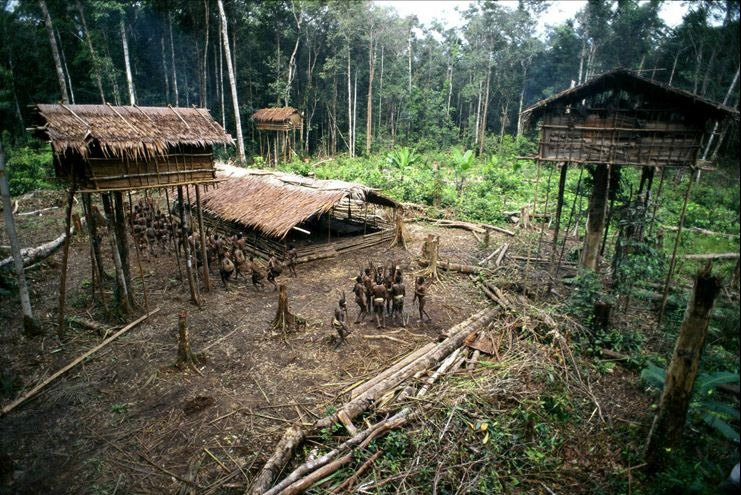 La tribu perdida de los Korowai