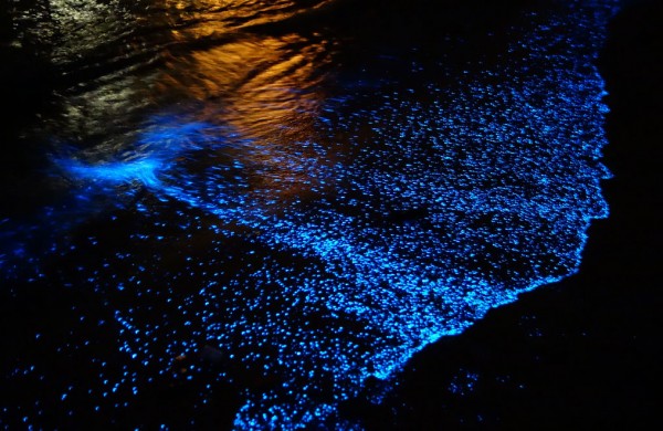 Vaadhoo, la asombrosa isla de orillas estelares