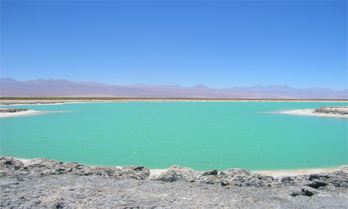 Laguna Cejar, el Mar Muerto de Atacama