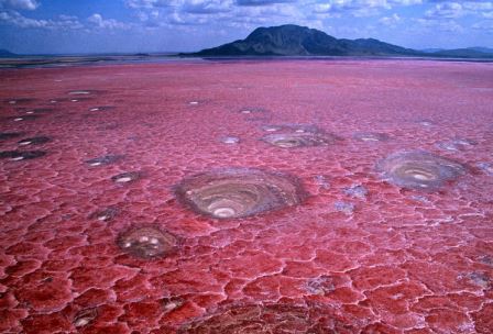 El lago Natrón: naturaleza petrificada