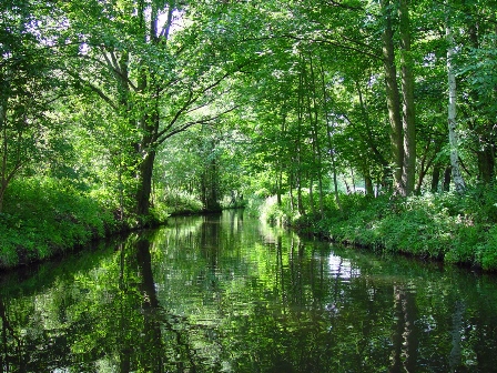 Spreewald en Berlín (Alemania)