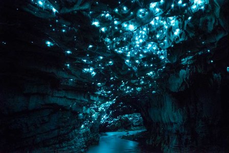 Cuevas Waitomo