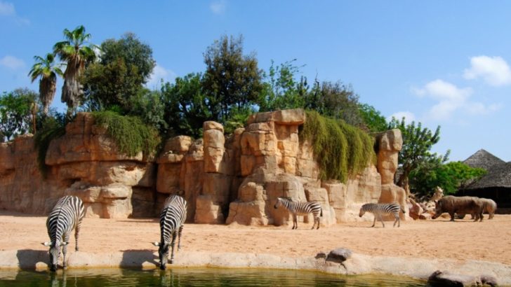 Bioparc: vacaciones con niños