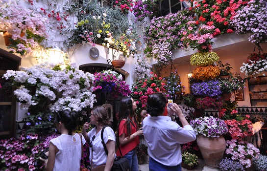 10 patios cordobeses que no te puedes perder