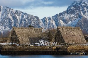 Reine (Noruega) - Tørrfisk-fra-Lofoten-IGP_06_QG-300x200